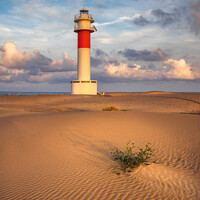 Buy canvas prints of Lighthouse at El Fangar Beach at sunset,  Deltebre, Catalonia by Pere Sanz