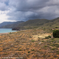 Buy canvas prints of Serene Calblanque: Where Land Meets Sea by Pere Sanz