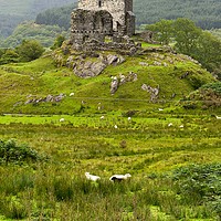 Buy canvas prints of dolwyddelan  castle in Snowdonia,  wales  by Pere Sanz