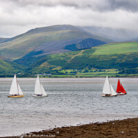 Buy canvas prints of Sailboats in Anglesey, Wales by Pere Sanz