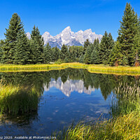 Buy canvas prints of Schwabacher landing with its reflection. Grand Teton national park, WY, USA by Pere Sanz