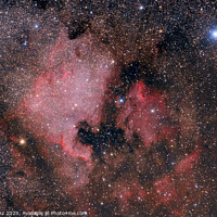 Buy canvas prints of North America and Pelican Nebulae by Pere Sanz