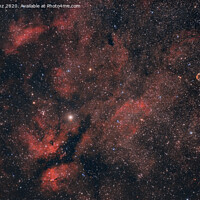 Buy canvas prints of Red Nebulosity arroud Sadr in the Constellation of Cygnus by Pere Sanz