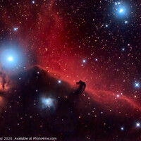 Buy canvas prints of Horsehead Nebula and Flaming Tree  in the Constellation Orion by Pere Sanz