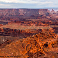 Buy canvas prints of View from Deadhorse Point State Park in Utah at Sunset, USA by Pere Sanz