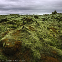 Buy canvas prints of Eldhraun Lava Field in Iceland by Pere Sanz