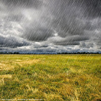 Buy canvas prints of Heavy Rain over a prairie in Brittany, France by Pere Sanz