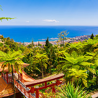 Buy canvas prints of Botanical garden in Funchal by Nicolas Boivin