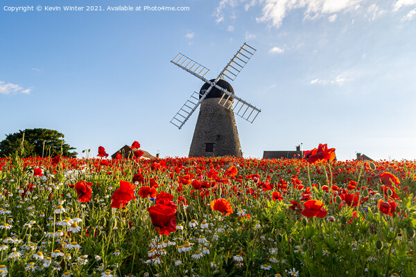 Poppies by the windmill Picture Board by Kevin Winter