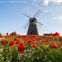 Buy canvas prints of Poppies by the windmill by Kevin Winter