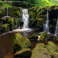 Buy canvas prints of Nelly Ayre Foss by Kevin Winter