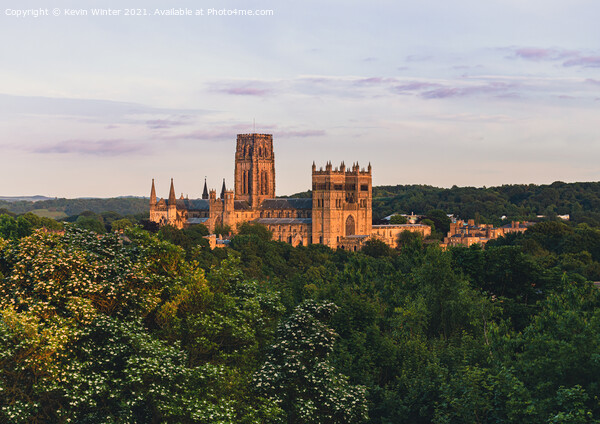 Durham Cathedral in Golden Sunlight Picture Board by Kevin Winter