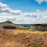 Buy canvas prints of Hawnby Hill by Kevin Winter