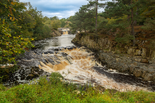 Low Force Picture Board by Kevin Winter