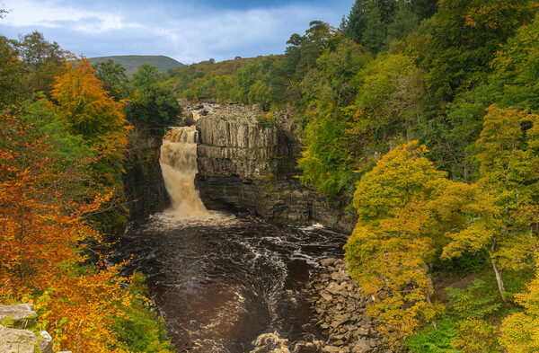High force in the autumn Picture Board by Kevin Winter
