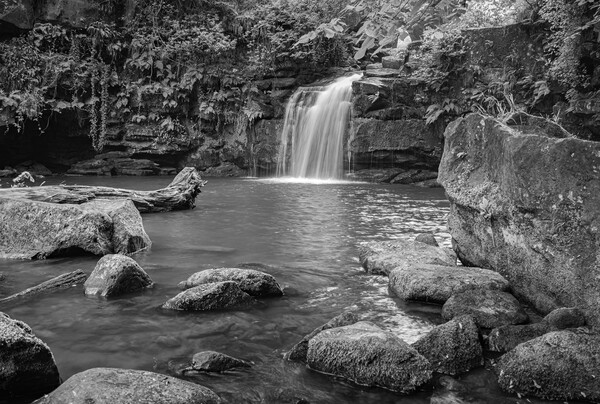 Thomason Foss in Black and white Picture Board by Kevin Winter