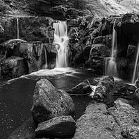Buy canvas prints of nelly Ayre Foss in black and white by Kevin Winter