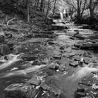 Buy canvas prints of Summerhill force in Black and White by Kevin Winter