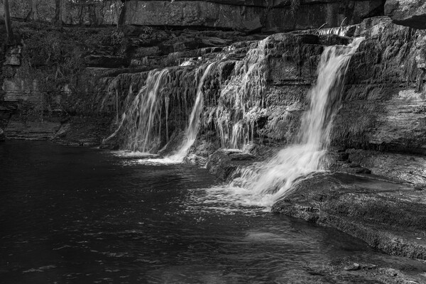 Cotter force in Black and White Picture Board by Kevin Winter