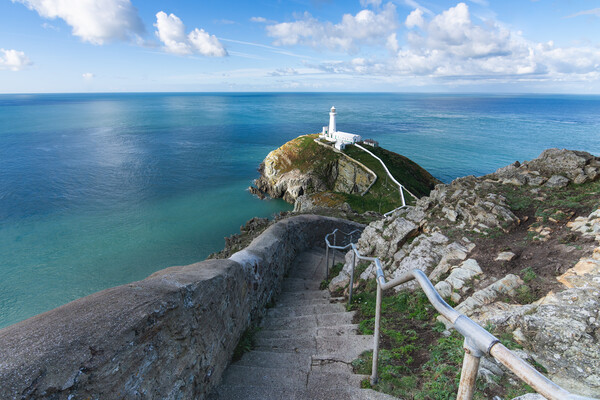 south stack anglesey Picture Board by Kevin Winter