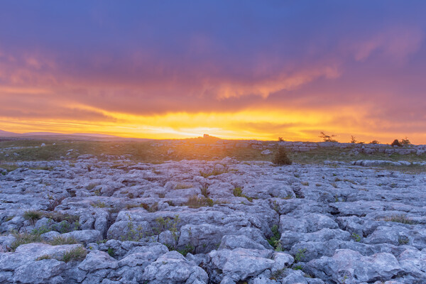 Malham Lime pavement at sunrise Picture Board by Kevin Winter
