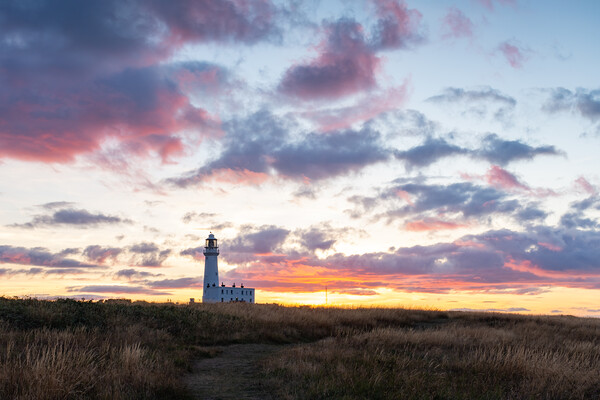 Flamborough sunset Picture Board by Kevin Winter