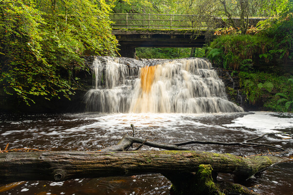 Hamsterley forest waterfall Picture Board by Kevin Winter
