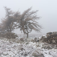 Buy canvas prints of Moorland Desolation  by Kevin Winter