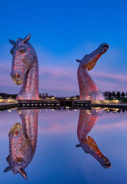 Red Kelpies Picture Board by Kevin Winter