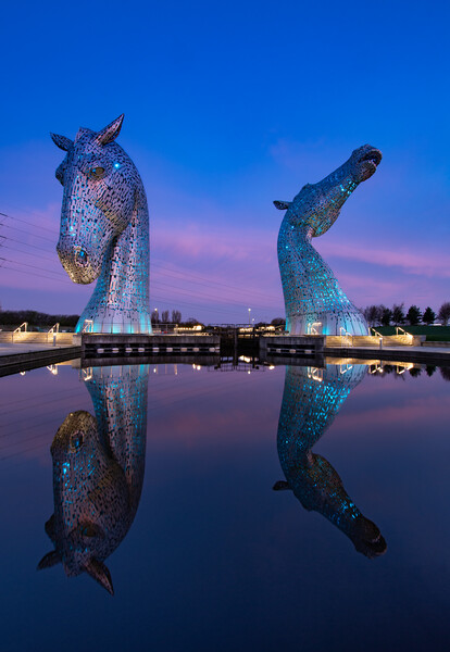 Blue Kelpies Picture Board by Kevin Winter