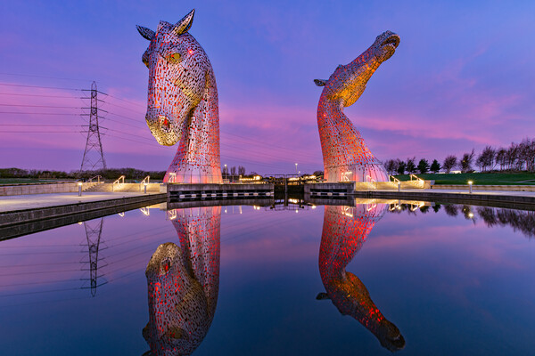 Red Kelpies Picture Board by Kevin Winter
