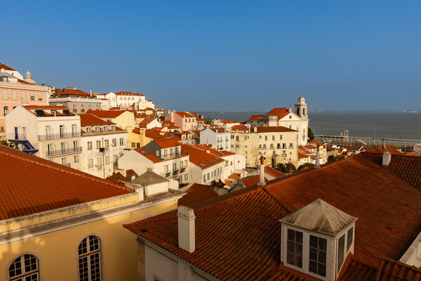 Rooftops of Lisbon Picture Board by Kevin Winter