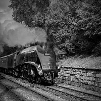 Buy canvas prints of Sir Nigel Gresley steam train steaming in to Goath by Kevin Winter