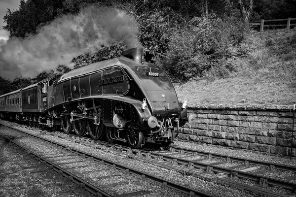 Sir Nigel Gresley steam train steaming in to Goath Picture Board by Kevin Winter