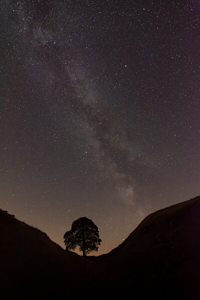 Milkyway over the sycamore Gap Picture Board by Kevin Winter