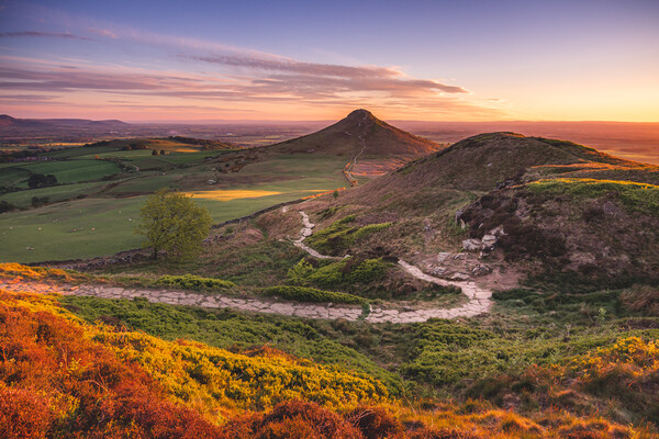 Path to Roseberry Topping framed mounted print Picture Board by Kevin Winter