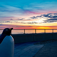 Buy canvas prints of Penguin Promenade by Kevin Winter