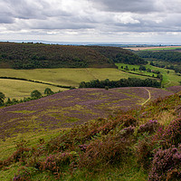 Buy canvas prints of Hole of Horcum by Kevin Winter