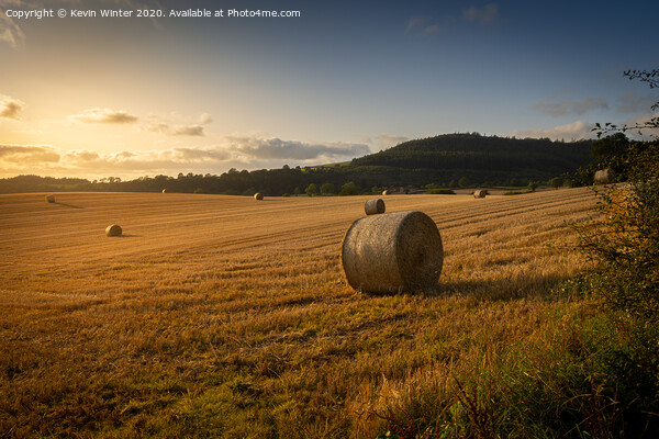 Sunset haybales Picture Board by Kevin Winter