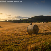 Buy canvas prints of Sunset haybales by Kevin Winter