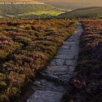 Buy canvas prints of View along the Cleveland Way by Kevin Winter