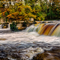 Buy canvas prints of Autumnal Richmond Falls by Kevin Winter