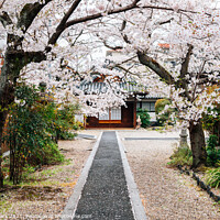 Buy canvas prints of Imaicho old temple by Sanga Park