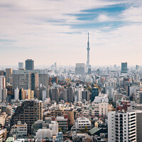 Buy canvas prints of Panorama view of Tokyo city by Sanga Park
