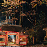 Buy canvas prints of Night view of Japanese shrine by Sanga Park