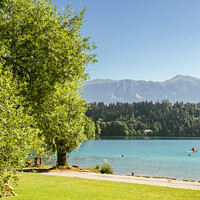 Buy canvas prints of Lake Bled in Slovenia by Sanga Park