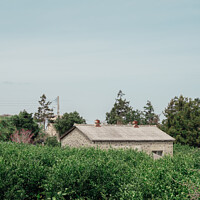 Buy canvas prints of Country house in Jeju island by Sanga Park