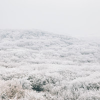 Buy canvas prints of Snowy winter Hallasan mountain by Sanga Park