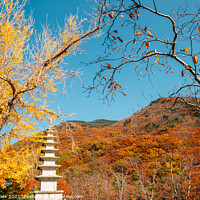 Buy canvas prints of Korean old temple and autumn mountain by Sanga Park