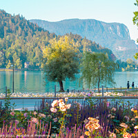 Buy canvas prints of Lake Bled by Sanga Park